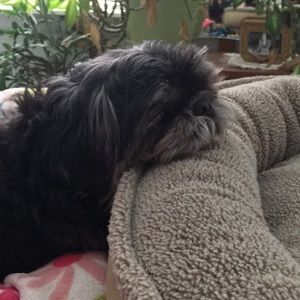 Meet your Posher, Adrienne